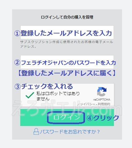 �t�F���`�I�W���p���yFellatio Japan�z�̑މ���@1