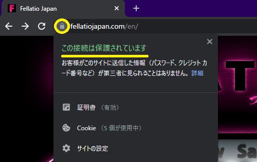 �t�F���`�I�W���p���̌����y�[�W��SSL������Ă���