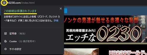 エッチな0230のトップページはSSL化されている